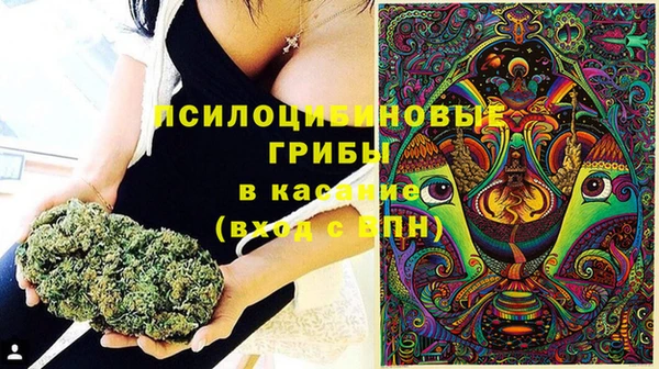 мескалин Елабуга