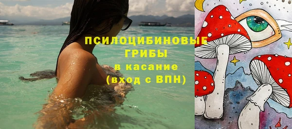 твердый Протвино