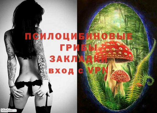 а пвп мука Ельня