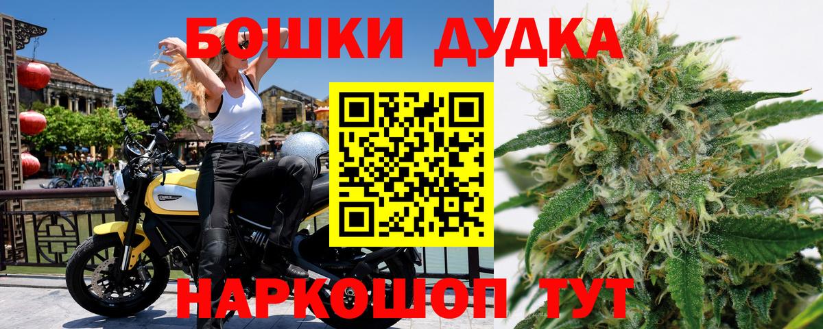 Бошки Шишки ГИДРОПОН Сальск